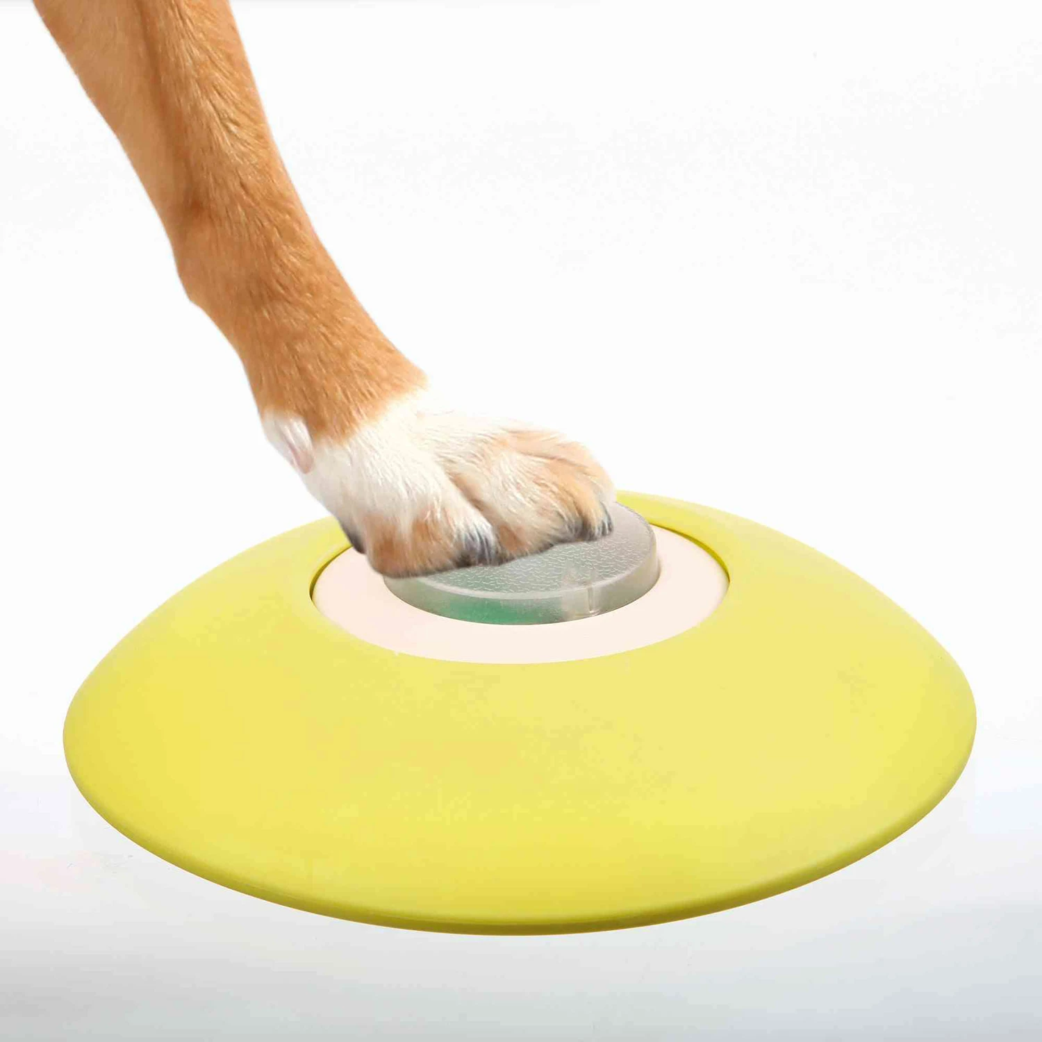 Trixie Activité Pour Chiens Memory Trainer 5 Trixie Activité Pour Chiens Memory Trainer – Image 3