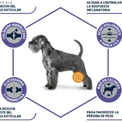 Advance Vet Diets Articular Care Reduced Calorie -Trixie Soldes Magasin 67678 3 4