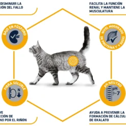 Advance Vet Diets Renal Care 11 Advance Vet Diets Renal Care -Trixie Soldes Magasin 67753 3 3