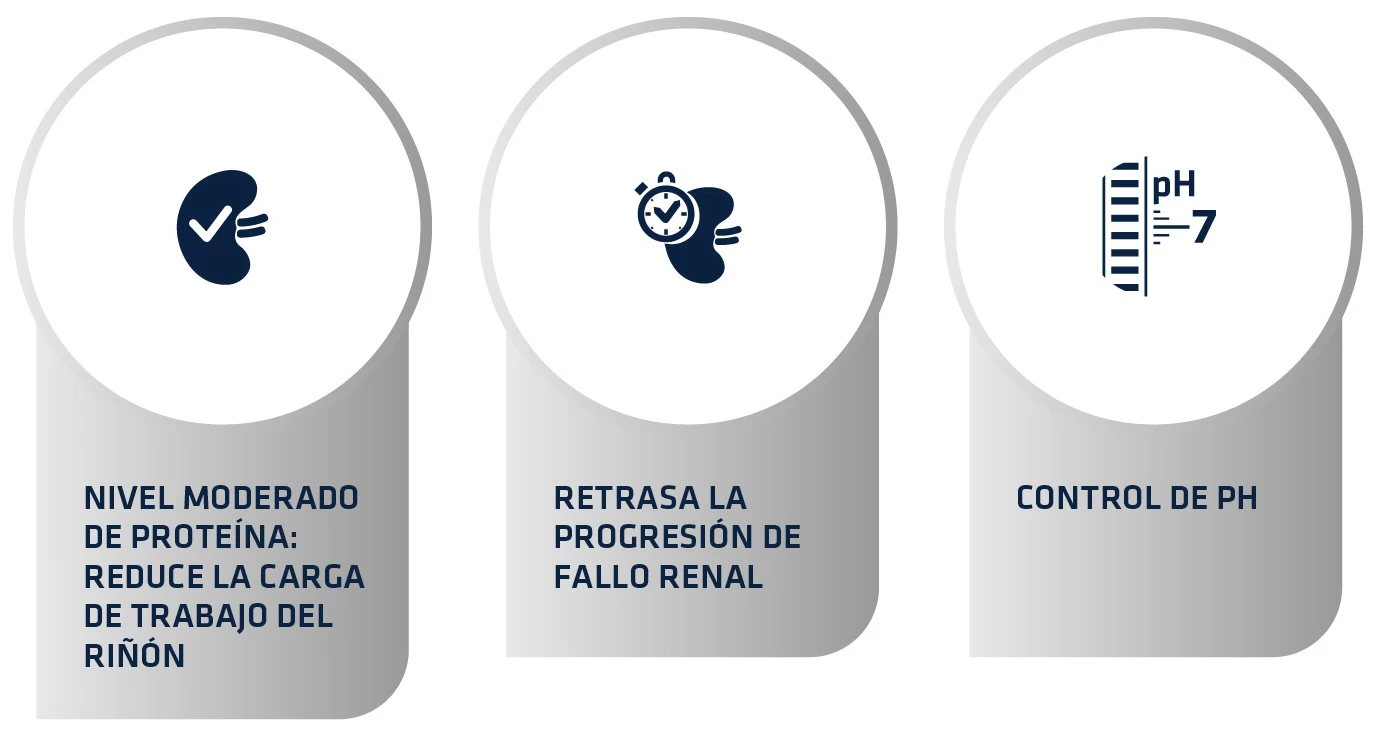 Advance Vet Diets Renal Care 6 Advance Vet Diets Renal Care – Image 4