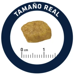 Advance Vet Diets Renal Care 13 Advance Vet Diets Renal Care -Trixie Soldes Magasin 67753 5 5