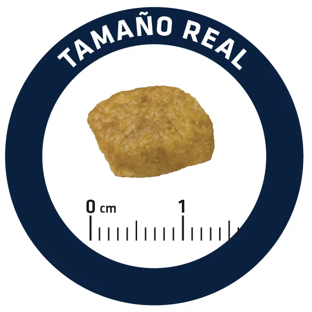 Advance Vet Diets Renal Care 7 Advance Vet Diets Renal Care – Image 5