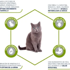 Advance Young Sterilized -Trixie Soldes Magasin 67756 3 3