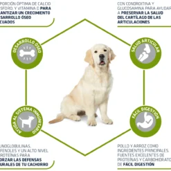 Advance Maxi Junior Poulet Et Riz -Trixie Soldes Magasin 70 3 3