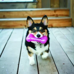 KONG Squeezz Crackle Bone -Trixie Soldes Magasin 71497 pcs1 2 1000x1000 1