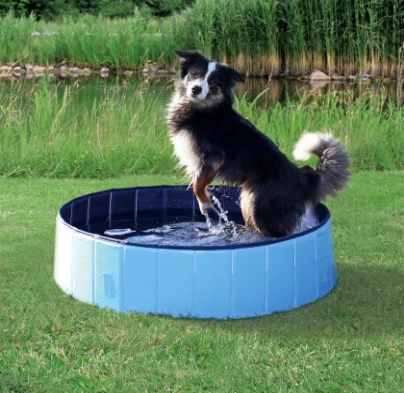 Trixie Piscine Pour Chiens 4 Trixie Piscine Pour Chiens – Image 2