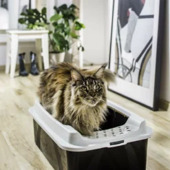 Rotho Bonnie Eco Cat Litter Tray Black -Trixie Soldes Magasin 71Nkd3lriRL 646b5e3fa89d4
