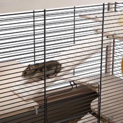 Ferplast Cage En Bois De Hamsterville -Trixie Soldes Magasin 72111 9 0190008142 1800x1800 4