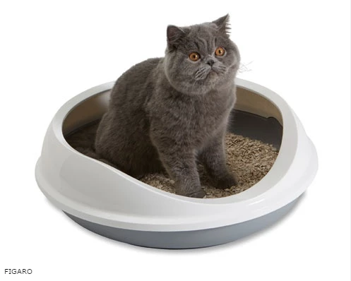 Savic Cuvette Avec Cadre Figaro 4 Savic Cuvette Avec Cadre Figaro – Image 2