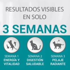 Purina One Un Bifensis Stérilisé Riche En Poulet -Trixie Soldes Magasin 7613035139206 5 3WC 6278c1966f425