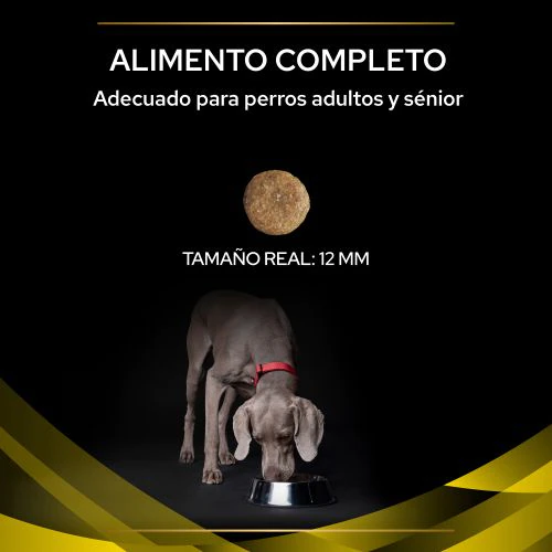 Pro Plan Veterinary Diets Pienso Nc Neurocare Para Perros Adultos Y Sénior 6 Pro Plan Veterinary Diets Pienso Nc Neurocare Para Perros Adultos Y Sénior – Image 4