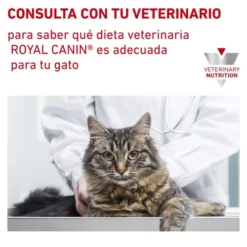 Royal Canin Sensitivity Control Feline Chicken & Rice Wet Meal -Trixie Soldes Magasin 774497 6270efdc94328