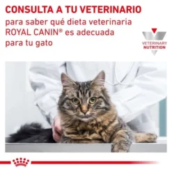 Royal Canin Early Renal -Trixie Soldes Magasin 778006 6267f1100c730