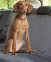 Freedog Couvre-siège Résistant à LEau