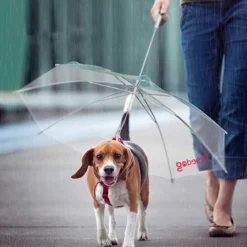 Freedog Parapluie 45cm (Ouvert)