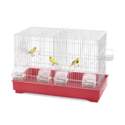 Imac Cova 55 Cage Birds