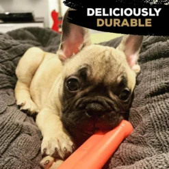 Nylabone Extreme Chew Value Pack S (Peanut/Original/Bacon) -Trixie Soldes Magasin 81jkTWZrEAL 647777c157f16