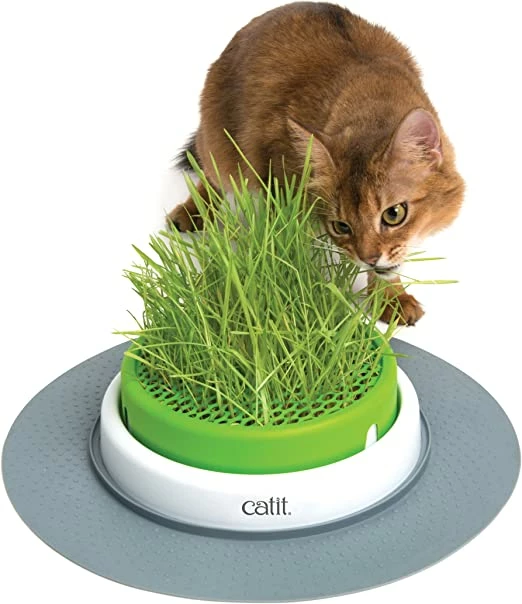 Catit Senses 2.0 Cat Grass Kit Rechange Herbe Chatière 4 Catit Senses 2.0 Cat Grass Kit Rechange Herbe Chatière – Image 2