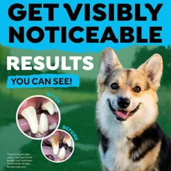 TropiClean Fresh Breath Kit De Hygiène Dentaire Pour Petits Chiens 59 Ml -Trixie Soldes Magasin 81v9AaG6hKL AC SX679 637be48f8931e