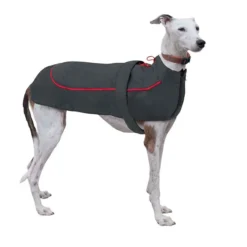 Nayeco Chubasquero X-Trek Gris Y Rojo