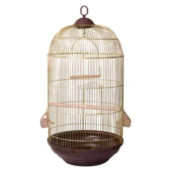 Arquivet Cage Lugano