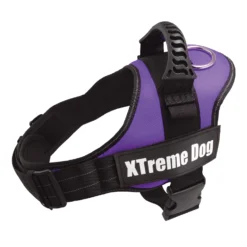 Arquivet Harnais Pour Chien Xtreme Violet