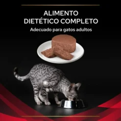 Lot 24 Pro Plan Veterinary Diets DM Diabetes Management ST/OX Mousse -Trixie Soldes Magasin 8445290092960 3 63690af50f14a