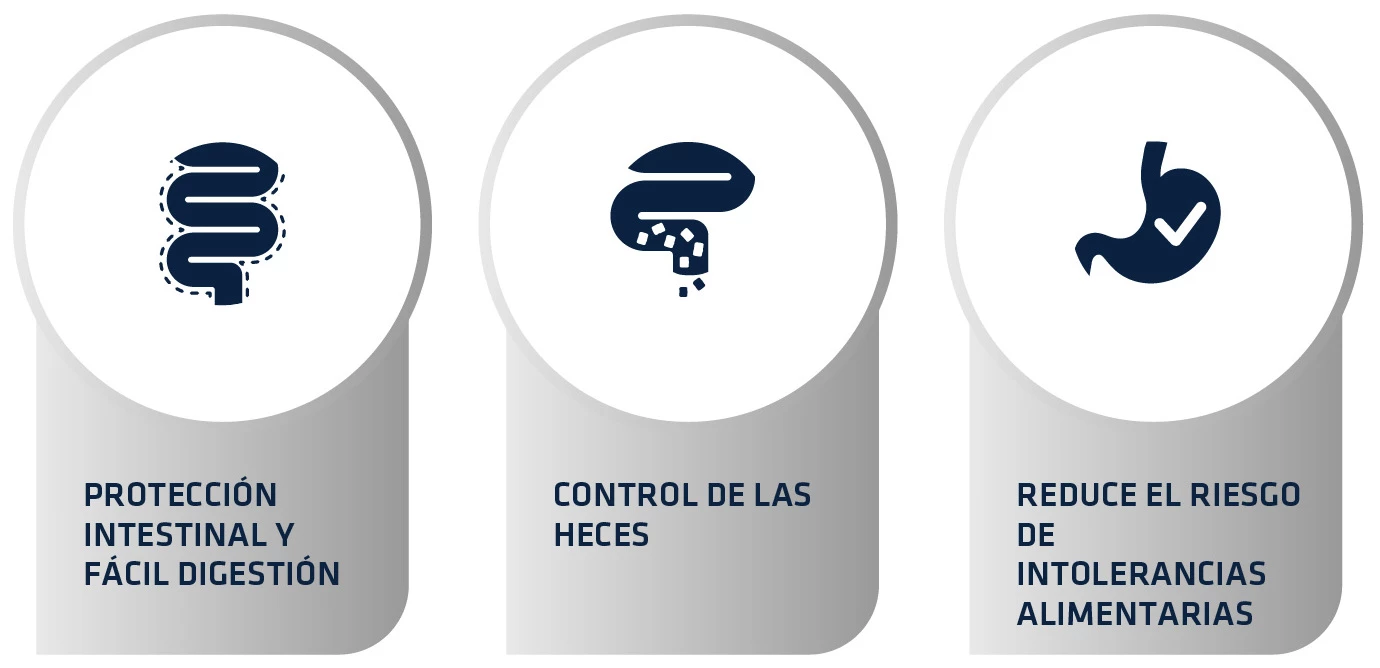 Advance Pienso Gastroenteric Sensitive Para Gato 6 Advance Pienso Gastroenteric Sensitive Para Gato – Image 4