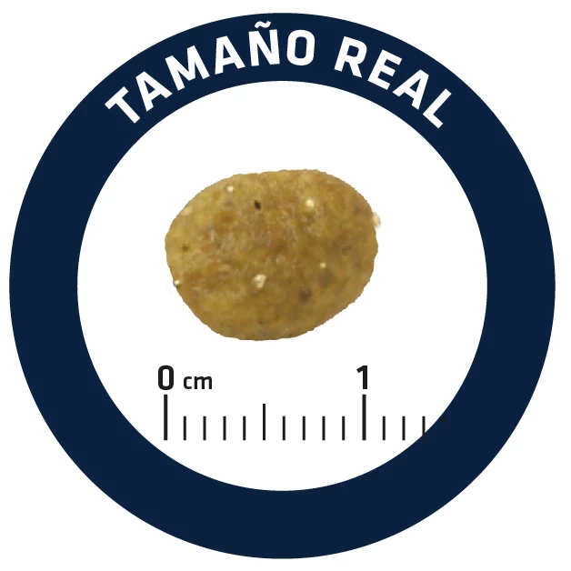 Advance Pienso Gastroenteric Sensitive Para Gato 7 Advance Pienso Gastroenteric Sensitive Para Gato – Image 5