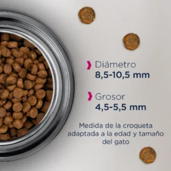 Eukanuba Senior Chicken For Cat Top Condition 7+ (Poulet Pour Chat) -Trixie Soldes Magasin 8710255121628 637f648e99732