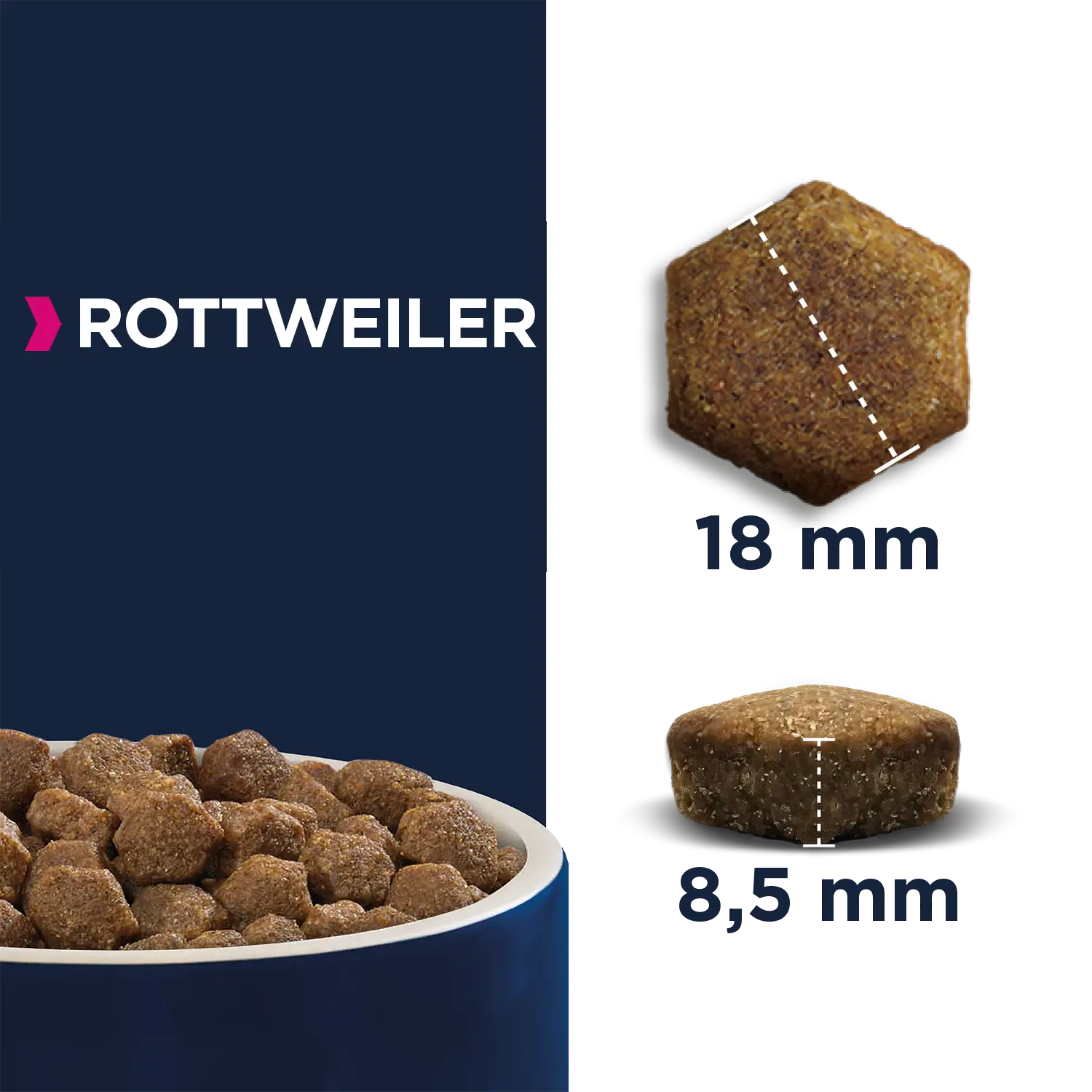 Eukanuba Rottweiler 4 Eukanuba Rottweiler – Image 2