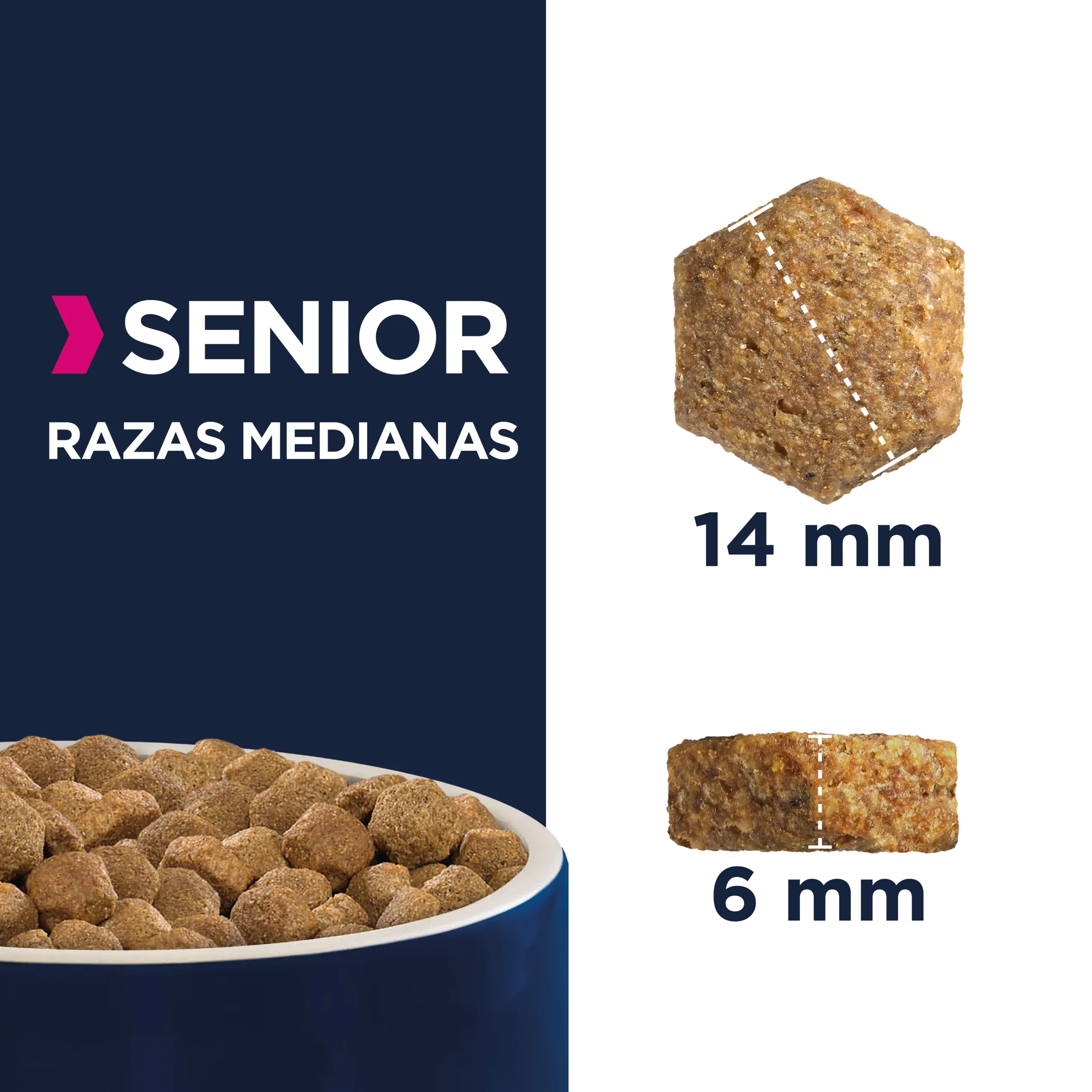 Eukanuba Senior Races Taille Moyenne 4 Eukanuba Senior Races Taille Moyenne – Image 2