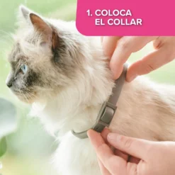 Beaphar Collier Catcomfort Pour Les Situations De Stress Chez Les Chats -Trixie Soldes Magasin 8711231123056 5 6464e441b0031