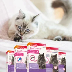 Beaphar Recharge Pour Diffuseur CatComfort Excellence Pour Chats -Trixie Soldes Magasin 8711231125340 8 64a6b5365b93e