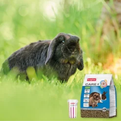 Beaphar Care + Lapin Senior 9 Beaphar Care + Lapin Senior -Trixie Soldes Magasin 8711231184545 4