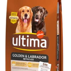 Ultima Tourteau Golden Et Labrador