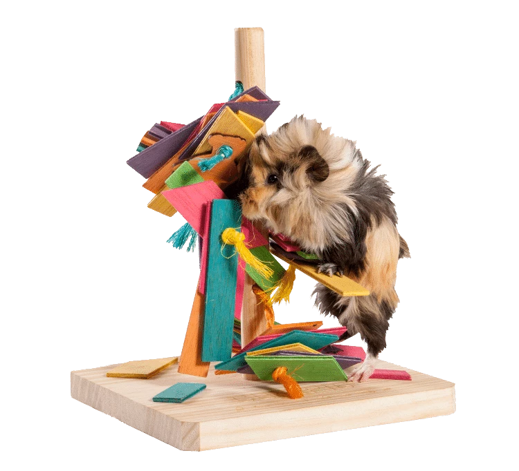 Cunipic Jouet Arbre De Jeu 4 Cunipic Jouet Arbre De Jeu – Image 2