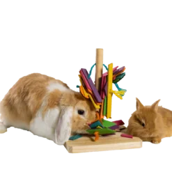 Cunipic Jouet Arbre De Jeu 7 Cunipic Jouet Arbre De Jeu -Trixie Soldes Magasin ARBOL JUGUETE2 634d79611feea