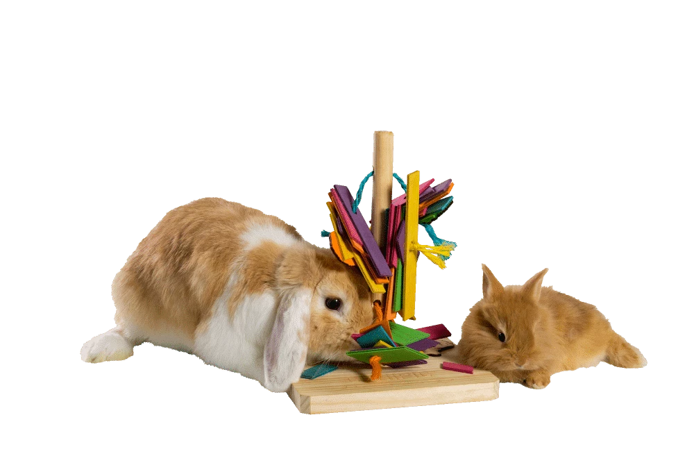 Cunipic Jouet Arbre De Jeu 5 Cunipic Jouet Arbre De Jeu – Image 3