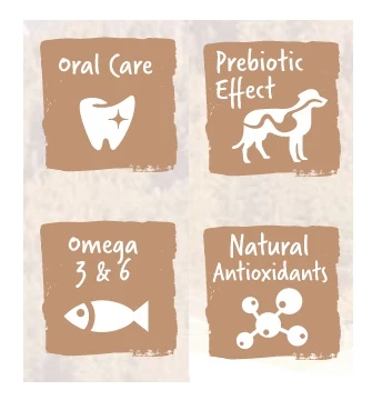 Evoque Adult Mini Agneau Wild Sanglier Et Riz 4 Evoque Adult Mini Agneau Wild Sanglier Et Riz – Image 2