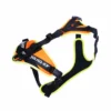 Julius K9 Harnais Mantrailing Orange Et Néon Pour Chiens -Trixie Soldes Magasin Arnes Mantrailing Naranja y Neon para Perros 6478a8de70ea1
