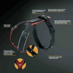 Julius K9 Harnais Canicross Rouge Speed Pour Chiens Canicross -Trixie Soldes Magasin Arnes SPEED 64786ae75b7f4 scaled