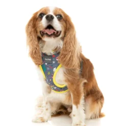 FuzzYard Harnais Pour Chien Coachella 9 FuzzYard Harnais Pour Chien Coachella -Trixie Soldes Magasin Arnes petral para perros Coachella 3 63f4a235d8160