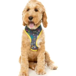 FuzzYard Harnais Pour Chien Coachella 8 FuzzYard Harnais Pour Chien Coachella -Trixie Soldes Magasin Arnes petral para perros Coachella 4 63f4a23548aa8