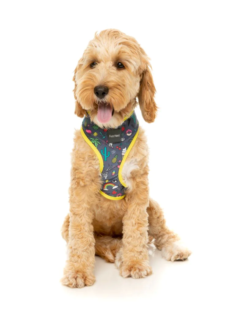 FuzzYard Harnais Pour Chien Coachella 5 FuzzYard Harnais Pour Chien Coachella – Image 3