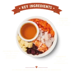 Lily's Kitchen Nourriture Sèche Fisherman's Feast 7 Lily's Kitchen Nourriture Sèche Fisherman's Feast -Trixie Soldes Magasin BCDFF 2 62d1855a3018f