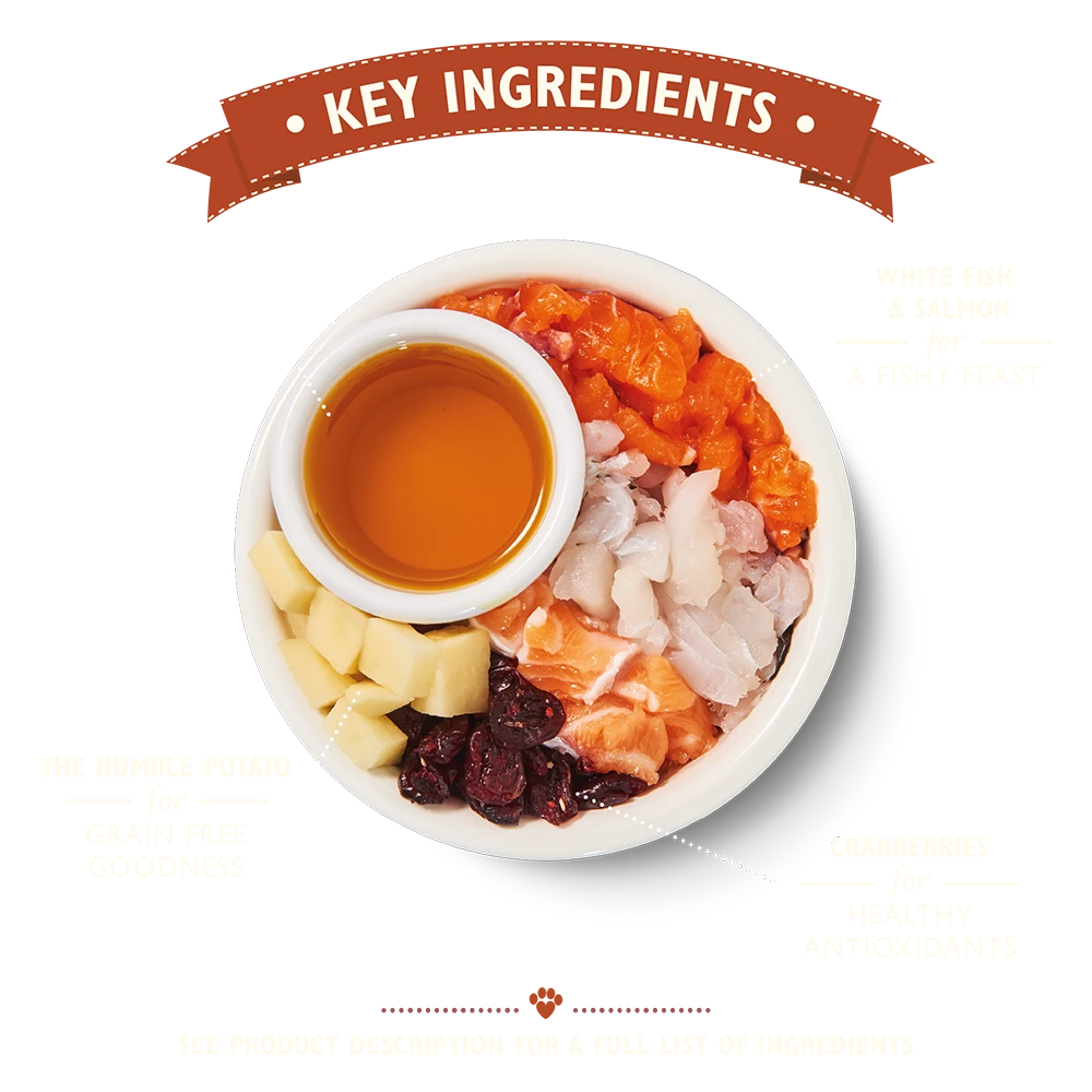 Lily's Kitchen Nourriture Sèche Fisherman's Feast 5 Lily's Kitchen Nourriture Sèche Fisherman's Feast – Image 3