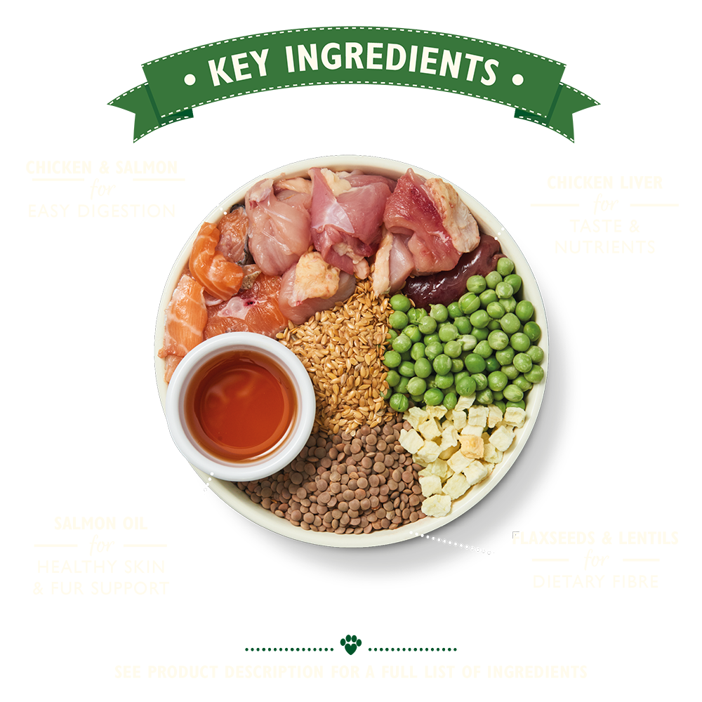 Lily's Kitchen Nourriture Sèche Chiot Poulet & Saumon 5 Lily's Kitchen Nourriture Sèche Chiot Poulet & Saumon – Image 3