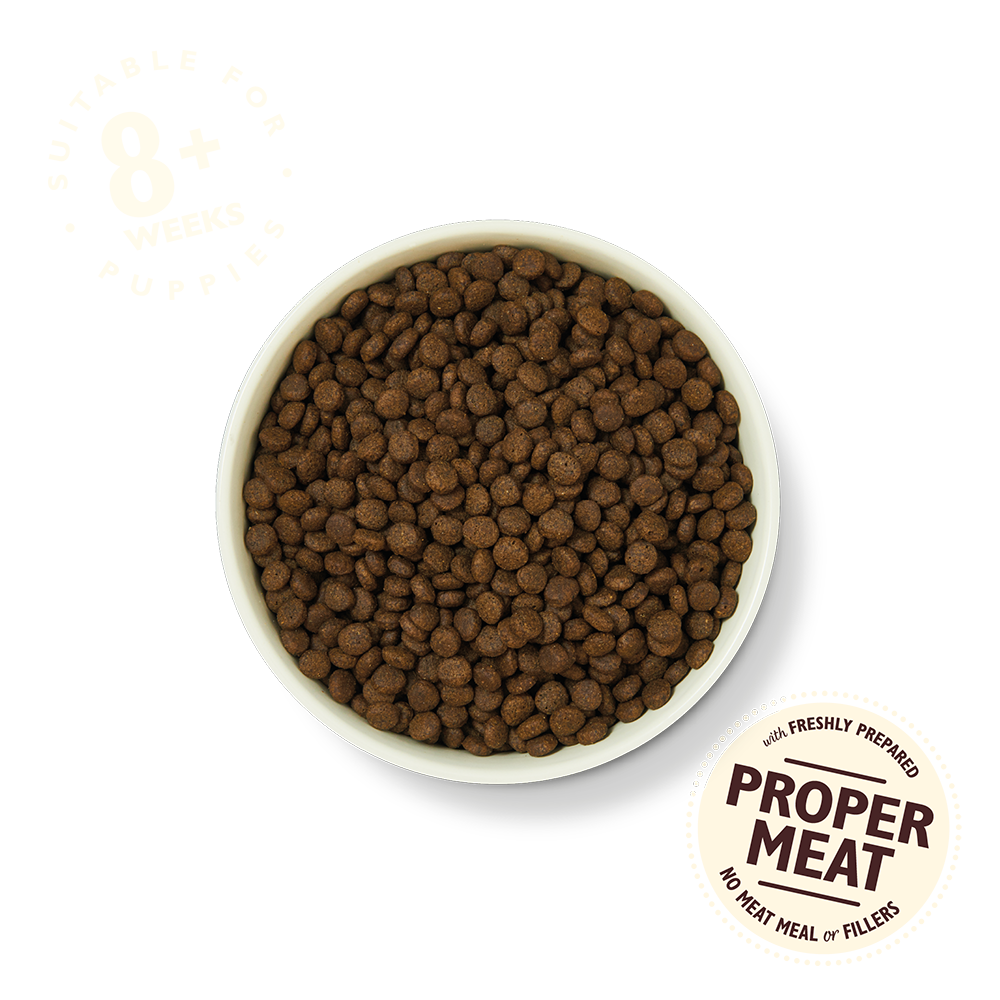 Lily's Kitchen Nourriture Sèche Chiot Poulet & Saumon 4 Lily's Kitchen Nourriture Sèche Chiot Poulet & Saumon – Image 2