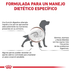 Royal Canin Nourriture Gastro-intestinal Moderate Calorie -Trixie Soldes Magasin BENEFICIOS 62fcc1fb3bcdf